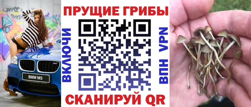 продажа наркотиков  Новодвинск  Псилоцибиновые грибы ЛСД 
