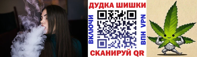 Бошки Шишки планчик  Новодвинск 
